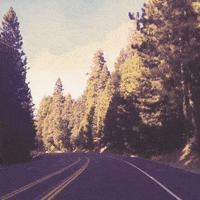 driving road trip GIF by Jess
