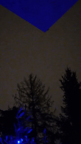 Simongip giphyupload GIF