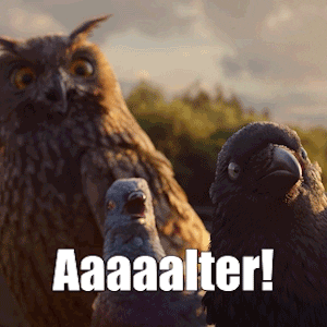 surprised birds GIF by EnBW