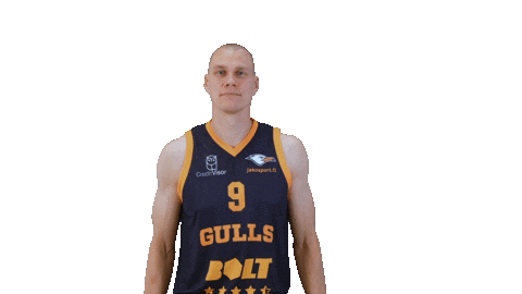 Sport Basketball Sticker by Basket_fi
