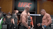 Kamaru Usman Hug GIF by UFC