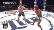 GIF by Bellator