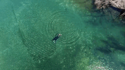 travel spring GIF