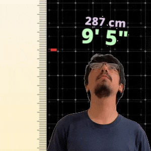 9' 5"