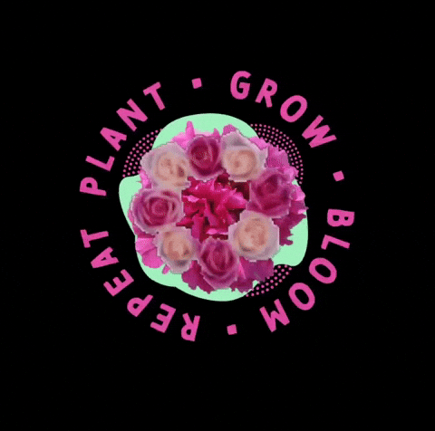 Flower Grow GIF