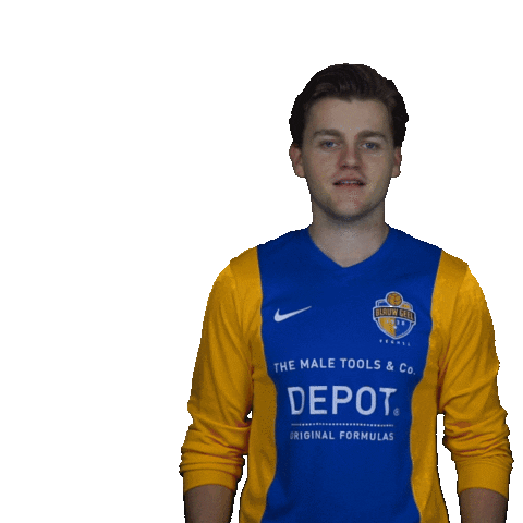 blauwgeel giphyupload football voetbal veghel Sticker