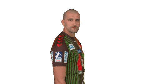 Handball-Bundesliga Mic Drop Sticker by LIQUI MOLY HBL