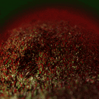 Art Design GIF by xponentialdesign