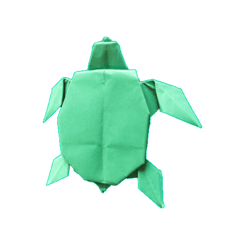 Rua Schildkrote Sticker