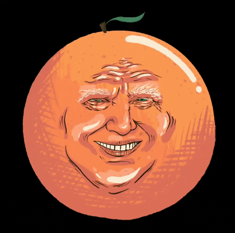Spearmintcoffee smile trump orange fruit GIF