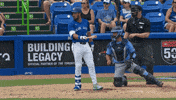 Blue Jays Mlb GIF by Toronto Blue Jays