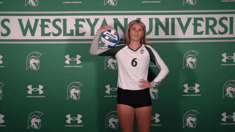 Iwuwvb24 GIF by iwusports