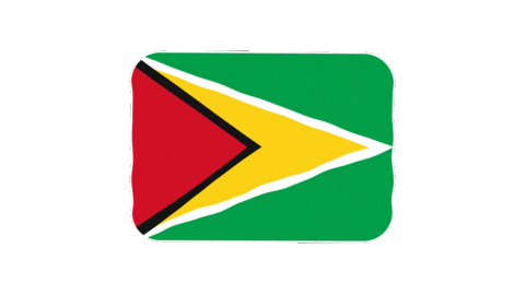emojivid giphyupload emoji flag emojivid Sticker