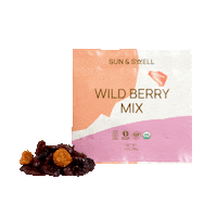 Food Vegan Sticker by Sun & Swell Foods