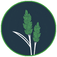 Blog Plants Sticker by Pivot Bio