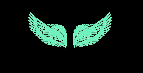 ramoncarvalhoo giphygifmaker aesthetic fly flying GIF
