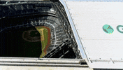 Major League Baseball Sport GIF by MLB