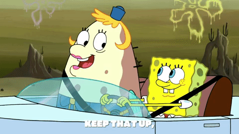 season 9 little yellow book GIF by SpongeBob SquarePants