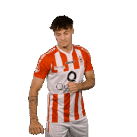 Goal Van Sticker by TOP Oss