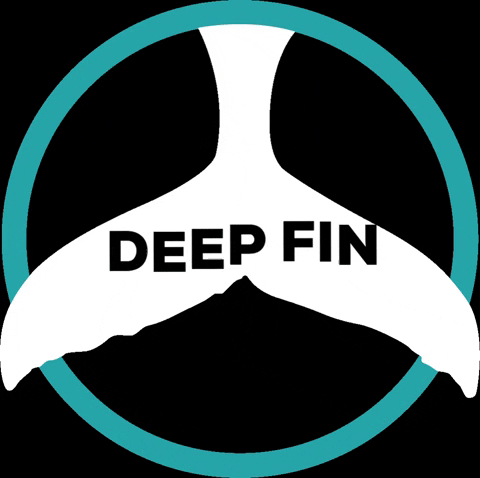 deepfintenerife giphygifmaker diving dive tenerife GIF
