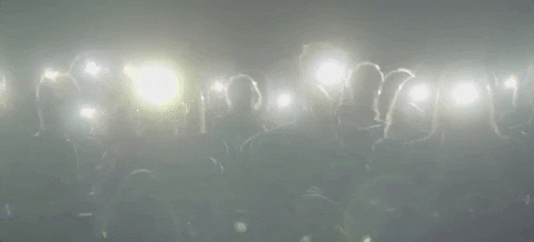 sub pop chariot GIF by Sub Pop Records