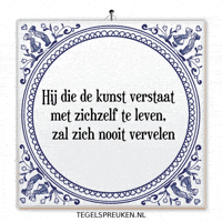 Humor Nl GIF by Tegelspreuken.nl