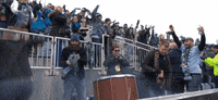 fans cheering GIF by Philadelphia Union