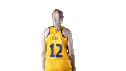 Eurobasket Women Matilda Sticker by Sweden Basketball