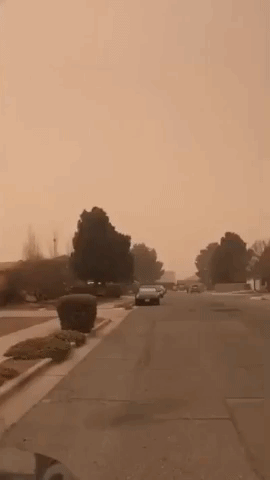 'I Now Live on Mars': Dust Storm Overtakes El Paso, Texas