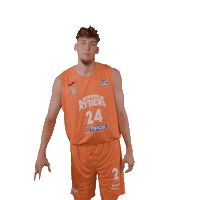 Sport Basketball Sticker by spisskirytieri
