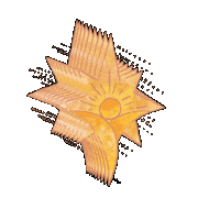 CarolsLightOrg nonprofit shinebright carolslight carolslightorg Sticker