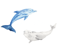 Theme Sticker by bimunsinub