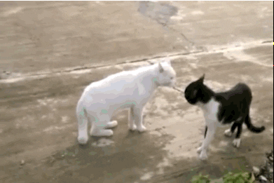 dragon ball z wtf GIF by Cheezburger