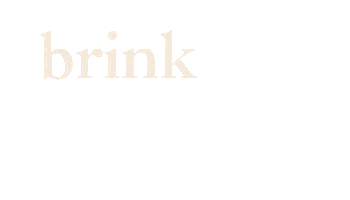 Brink2020 Sticker by Brink Virtual