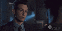 Dick Wolf Yes GIF by Wolf Entertainment