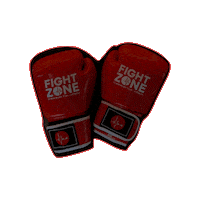 FightZoneSG singapore gloves fz fightzone Sticker