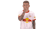 Red Bull What Sticker by FC Red Bull Salzburg