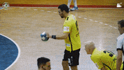 Celebrate Czech Republic GIF by HCB Karviná
