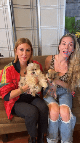 Dying Laughing Fun GIF by Jessimae Peluso