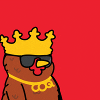 COQINU money bling coq bokbok GIF