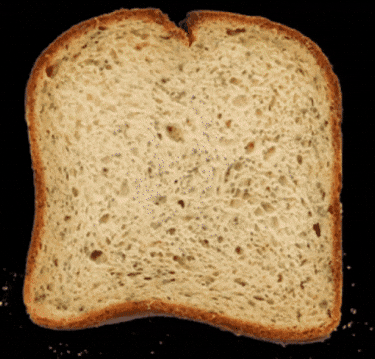 jackhehe giphygifmaker giphygifmakermobile giphycreatortest saeed GIF