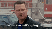 Ll Cool J Chris Odonnell GIF by CBS