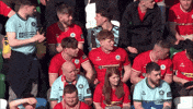 Red Army Fans GIF by Cliftonville Football Club
