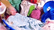 tyleroakley youtube youtuber tyler oakley tyleroakley GIF