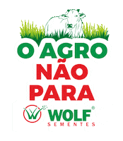 Pecuaria Capim Sticker by Wolf Sementes
