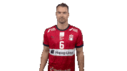 Handball-Bundesliga Handball Sticker by LIQUI MOLY HBL