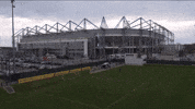 borussia park GIF by Borussia Mönchengladbach