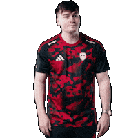 Shock Link Sticker by SINNERS Esports