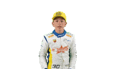 Vinicius Sticker by Stock Car Brasil