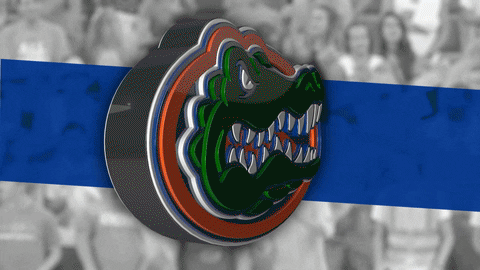 University Of Florida Go Gators GIF by Florida Gators